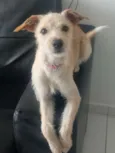 Zelda