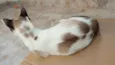 Tina