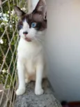 Tina