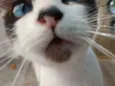 Tina