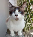 Tina
