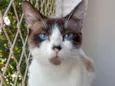 Tina