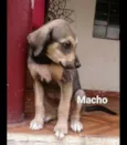 Sem Nome