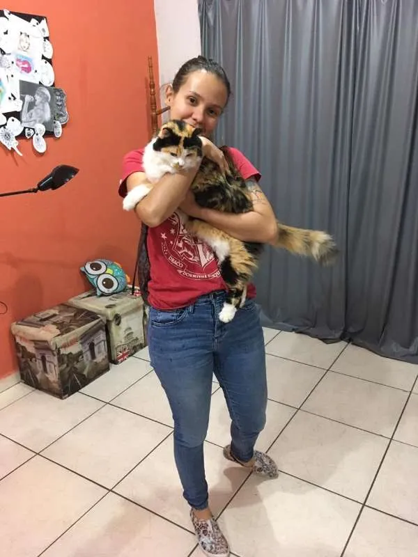 Gato ra a  idade 3 anos nome Pinduca GRATIFICA