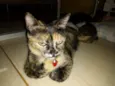 Menina