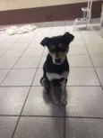 Paçoca