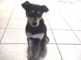Paçoca