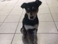 Paçoca