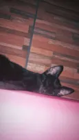 Meggie