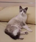 Mel 