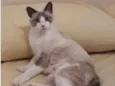 Mel 