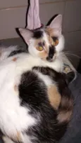 Fofinha