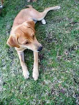 Susy