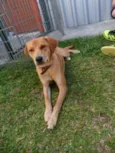 Susy