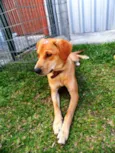 Susy
