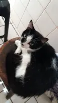 Pietra
