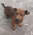 Não Sabemos 