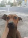 Não Sabemos 
