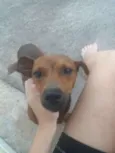 Não Sabemos 