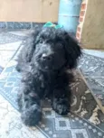 Lunna