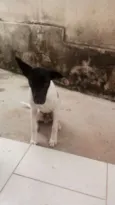 Bolt