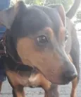 MEL