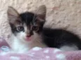 Nina
