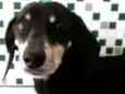Nao tenho ideia