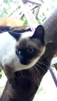 Nina