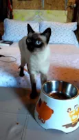 Nina