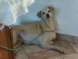 Princesa