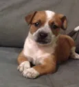 Maíah