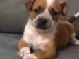 Maíah