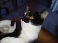 Fiona