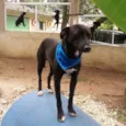 Congo