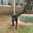 Congo