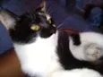 Fiona