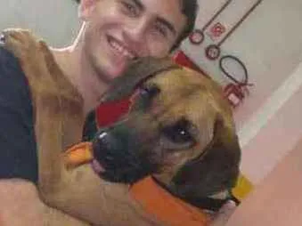 Cachorro ra a SRD idade 6 ou mais anos nome Pan