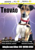 TROVÃO