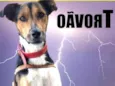 TROVÃO
