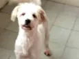 Nina