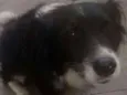 Marley