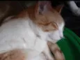 Miguel