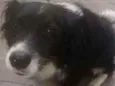 Marley