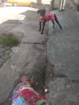 Íris
