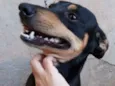 Billy
