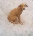 Não definido