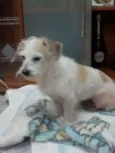 Não tem