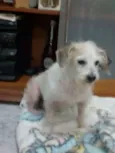 Não tem