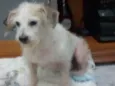 Não tem